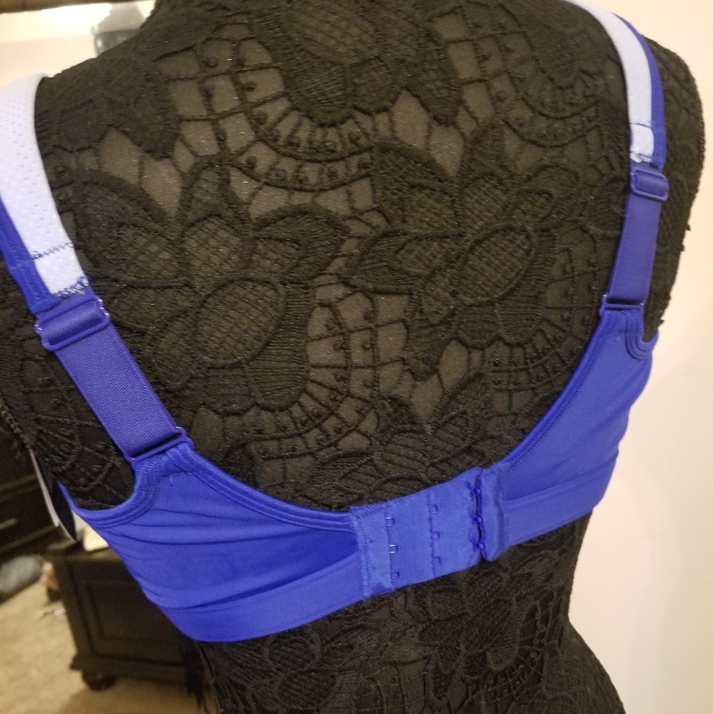 Sportsbra - Picture 3 of 4